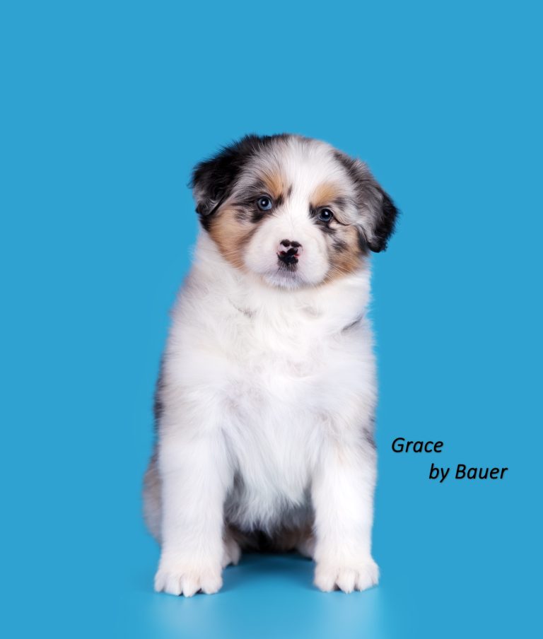 Grace by Bauer ~