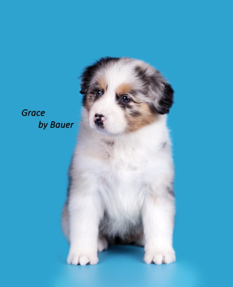 Grace by Bauer ~