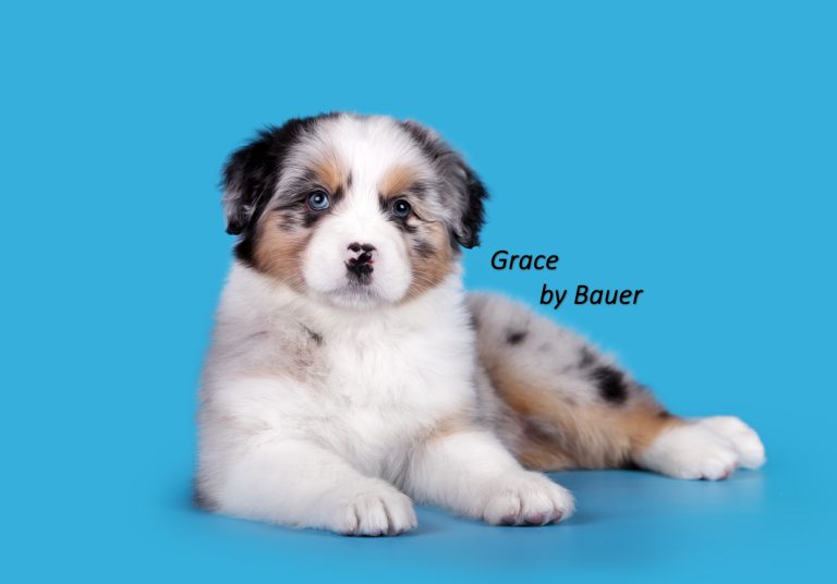 Grace by Bauer ~