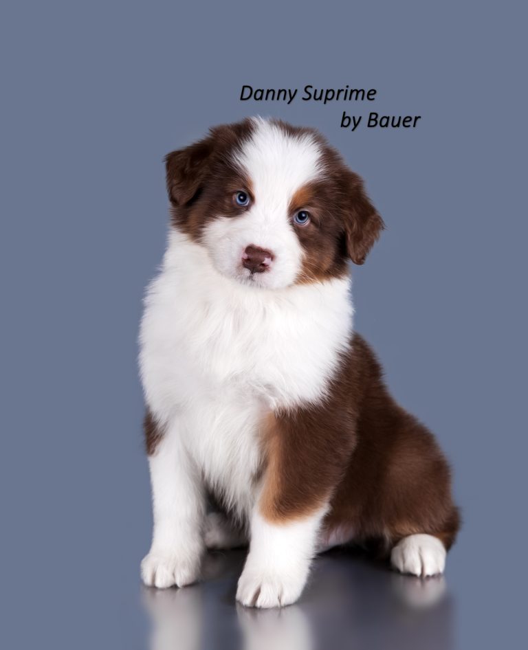 Danny Suprime by Bauer ~ ДЕНИ