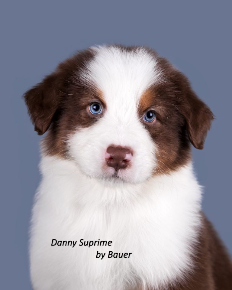 Danny Suprime by Bauer ~ ДЕНИ