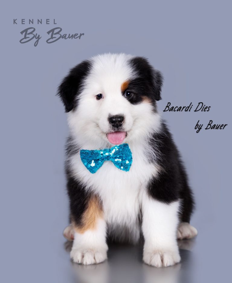Bacardi Dies by Bauer (КФ) ~