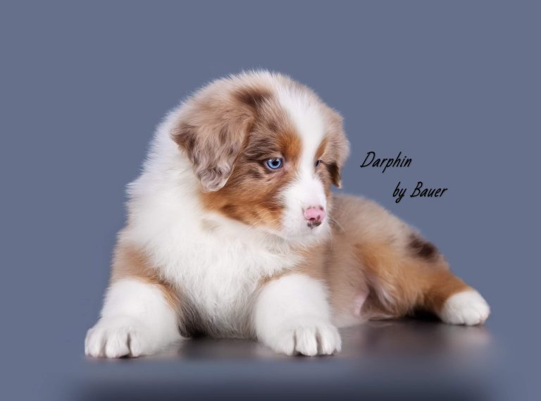 Darphin by Bauer ~