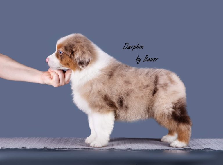 Darphin by Bauer ~