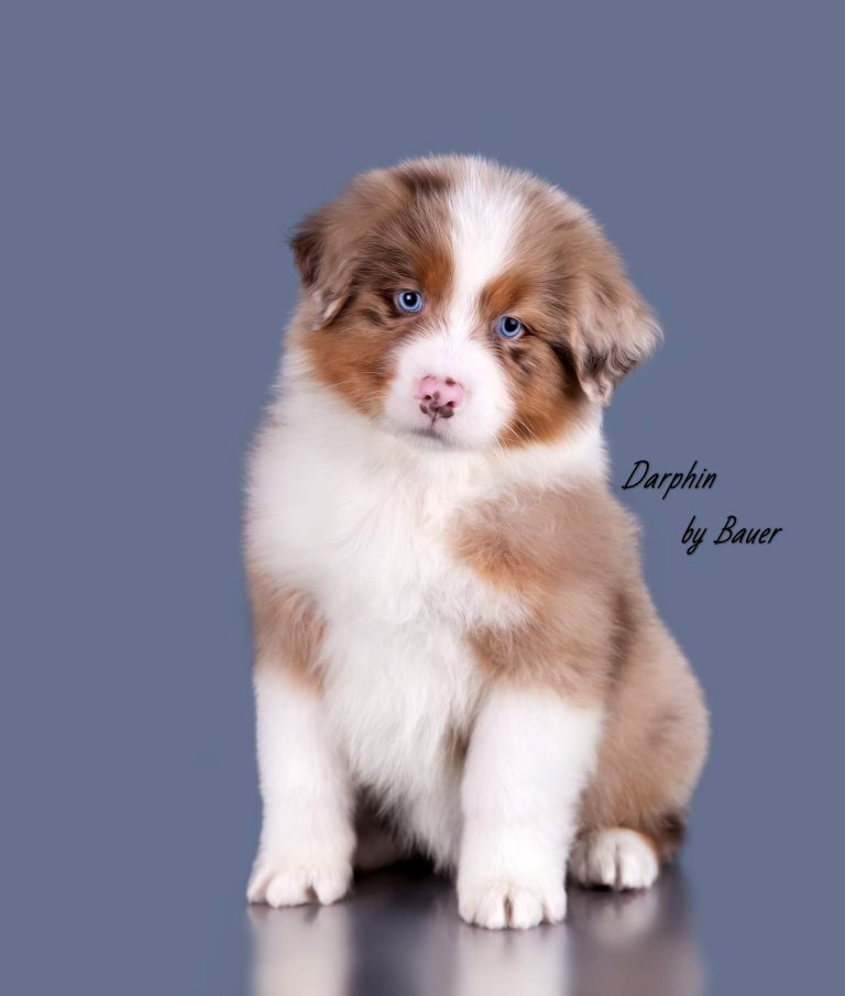 Darphin by Bauer ~